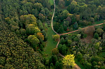 Aerial view of Silk Wood, Westonbirt Arboretum, Gloucestershire, UK, October 2011