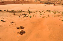 Huts of the Wadi tribe in arid landscape, seen from the air. Near Niamey, Sahelo-Sudanese Biome, W National Park (UNESCO, IUCN & RAMSAR), Niger. Aerial census, May 2011.