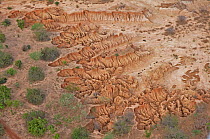 Patterns made in rock by erosion, seen from the air. Sahelo-Sudanese Biome, W National Park (UNESCO, IUCN & RAMSAR), Niger. Aerial census, May 2011.
