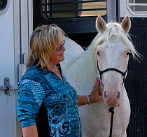 Carol Walker with her male cremello Wild horse / mustang colt Claro that had been rounded up from the McCullough Peak herd, Wyoming, and put up for adoption, Colorado, USA, August 2011, model released