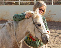 Carol Walker training her second year male palomino Wild horse / mustang colt, Mica,  that had been rounded up from the Adobe Town herd, Wyoming, and put up for adoption, Colorado, USA, March 2011, mo...