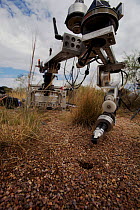 'Frankencam' specialised filming apparatus used by Martin Dohrn to film ants, Arizona, USA