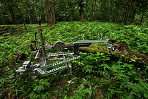'Frankencam', specialised camera equipment used to film army ants in Costa Rica