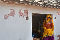 Village life, woman covering her face, in doorway to village home, with peacock art on walls, Sawai Modhopu, Rajasthan, India