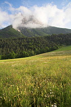 Flower meadow and Mont Aiguille. Near Chichilianne Parc Naturel Regional du Vercors France, June 2007.