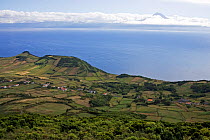 Farmland on the coast of Sao Jorge. Azores, September 2004.