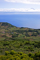 Farmland on the coast of Sao Jorge. Azores, September 2004.