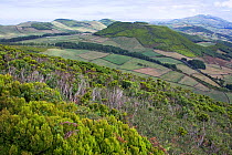Extinct volcanic calderas of Pico da Esperance. Sao Jorge, Azores, September 2004.