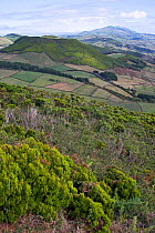 Extinct volcanic calderas of Pico da Esperance. Sao Jorge, Azores, September 2004.