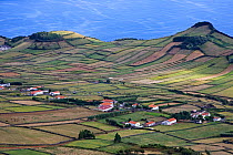 Coastal farmland near Rosais. Sao Jorge, Azores, September 2004.