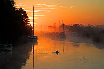 Mute Swan (Cygnus olor) and boats moored on the River Frome in a misty sunrise. Wareham, Dorset, England, October 2007.