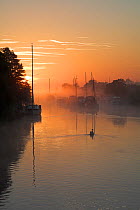 Mute Swan (Cygnus olor) and boats moored on the River Frome in a misty sunrise. Wareham, Dorset, England, October 2007.