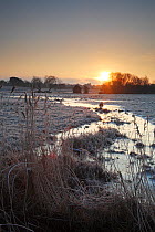 Sunrise and frost in Avon Valley ESA & SSSI from Avon Causeway, Hampshire, England, UK, January 2000.