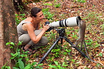 Long-tailed / crab-eating macaque (Macaca fascicularis) investigating camera lens of photographer, Fiona Rogers, Bako National Park, Sarawak, Borneo, Malaysia, model released, April 2010