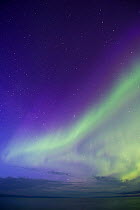 Aurora Borealis above the Arctic Ocean off the northen coast of Finnmark, Norway, April
