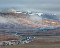 Delta running through autumn colours in Adventsdalen, Spitsbergen, Svalbard, Norway, August