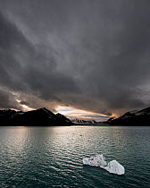 Melting fjord ice in Liefdefjorden, Northern Spitsbergen, Svalbard, Norway, August