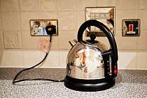 Kettle plugged in on kitchen surface, UK, October 2011.