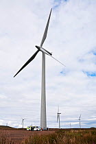 Wind turbines on Whitelee Windfarm, Glasgow, Scotland, August 2011.
