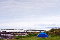 Tent beside beach at Seal Shore Campsite, Kildonan, Arran, Scotland, August 2011.