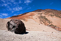 'Teide's Eggs' volcanic ejecta on Mount Teide volcano, thought to have been formed by rolling off the lava front. Tenerife, Canary Islands, April 2011.