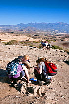 Students studying Paleoliquefaction features, evidence of paleo-earthquakes, at El Medano beach, South Tenerife, Canary Islands, April 2011.