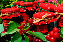 Cherries (Prunus sp) arranged around  home made cherry jam in jars, France June