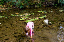 Girl playing in River Onny,understanding nature by gathering river stones in order to make oven to make pizzas,Shropshire,England,UK, 2011