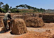Man working clay to manufacture bricks, Madagascar, 2008.