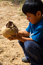Guarani boy holding a curled up Southern three-banded armadillo (Tolypeutes matacus) Gran Chaco, Bolivia.