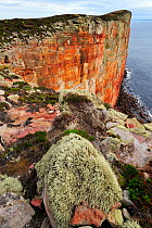 Cliff scenery at North Hoy, Hoy, Orkney, Scotland, July 2008