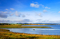Udale Bay RSPB reserve at high tide, Cromarty Firth, Scotland, October
