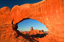 Turret Arch as seen through the North Window Arch, Arches National Park, Colorado Plateau, Utah, USA, September 2010