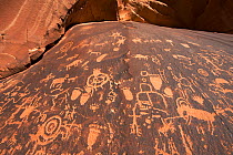 Petroglyphs on Newspaper Rock, Newspaper Rock State Park, Utah, USA, September 2010