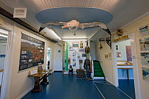 Grytviken Museum, South Georgia, February 2011