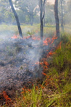 Bushfire in Kakadu National Park, Northern Territory, Australia, December 2010