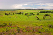 Floodplain close to Ubirr Rock Art Area, Kakadu National Park, Northern Territory, Australia, December 2010