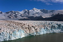 Nordenskjsld Glacier with Allardyce Mountain Range, South Georgia Island, February 2011