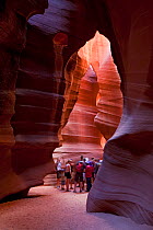 Group of tourists walking through the eroded sandstone detail of Antelope Canyon, Arizona, USA, September 2010