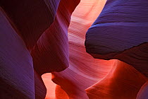 Eroded sandstone detail and light in Antelope Canyon, Arizona, USA