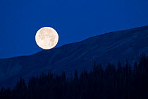 Rising full moon at Lake Clark National Park, Alaska, USA, August 2010