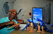 Wooden sculptures of Spix's macaw (Cyanopsitta spixii) made by Carlos Campinas da Silva, near Curaca, Bahia, Brazil, critically endangered species