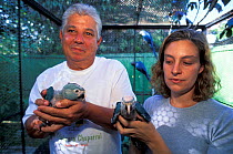 Mauricio and Adriana dos Santos with a captive bred Spix's macaw (Cyanopsitta spixii), critically endangered species, site of the first attempts to breed Spix's macaw after their extinction in the wil...