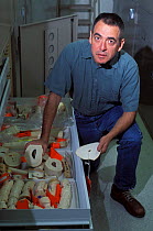 Ed Espinoza with sample artefacts of Mammoth ivory (free trade) and Elephant ivory (protected) at the National Fish and Wildlife Forensics Laboratory, Ashland, Oregon, USA