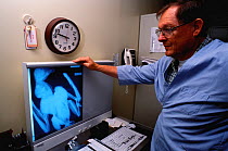 Richard Stroud carrying out a post mortem on an American bald eagle (Haliaeetus leucocephalus) to discover cause of death at the National Fish and Wildlife Forensics Laboratory, Ashland, Oregon, USA