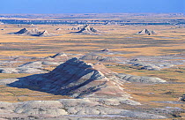 Grass prairies and eroded buttes in Badlands National Monument national park, South Dakota. Black-footed ferrets have been successfully reintroduced to the area after near-extinction. March 2002