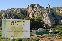 Site of the reintroduction research project of the Hermit / Northern bald ibis (Geroniticus eremita) at the Jerez de la Frontera Zoo, Cadiz, Spain. Critically endangered species. June 2007