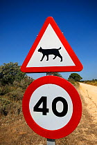 Road sign warning drivers to watch their speed in areas inhabited by the Iberian / Spanish Lynx (Lynx pardina). Sierra Morena, Andalusia, Spain, June 2007.