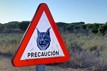 Road sign warning drivers to watch their speed in areas inhabited by the Iberian / Spanish Lynx (Lynx pardina). Sierra Morena, Andalusia, Spain, June 2006.