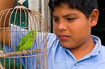 Boy with pet Blue winged parrotlet (Forpus xanthopterygius crassirostris) in cage, Trinidad, Beni, Bolivia, January 2008